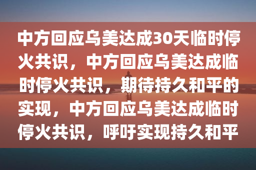 中方回应乌美达成30天临时停火共识，中方回应乌美达成临时停火共识，期待持久和平的实现，中方回应乌美达成临时停火共识，呼吁实现持久和平