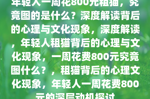年轻人一周花800元租猫，究竟图的是什么？深度解读背后的心理与文化现象，深度解读，年轻人租猫背后的心理与文化现象，一周花费800元究竟图什么？，租猫背后的心理文化现象，年轻人一周花费800元的深层动机探讨