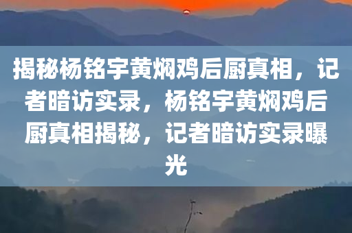 揭秘杨铭宇黄焖鸡后厨真相，记者暗访实录，杨铭宇黄焖鸡后厨真相揭秘，记者暗访实录曝光