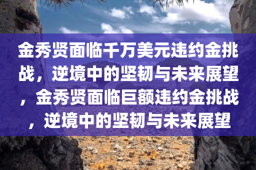 金秀贤面临千万美元违约金挑战，逆境中的坚韧与未来展望，金秀贤面临巨额违约金挑战，逆境中的坚韧与未来展望