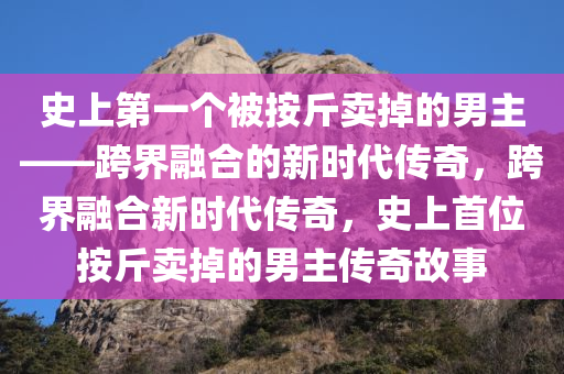 史上第一个被按斤卖掉的男主——跨界融合的新时代传奇，跨界融合新时代传奇，史上首位按斤卖掉的男主传奇故事