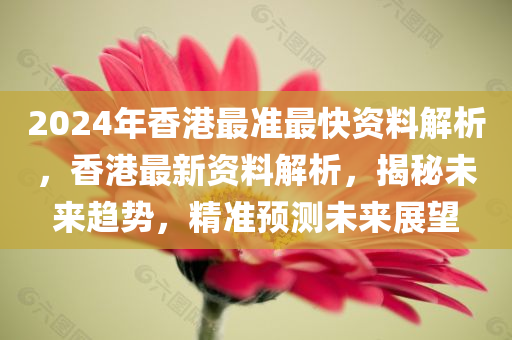 2024年香港最准最快资料解析，香港最新资料解析，揭秘未来趋势，精准预测未来展望