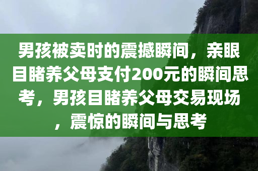 男孩被卖时的震撼瞬间，亲眼目睹养父母支付200元的瞬间思考，男孩目睹养父母交易现场，震惊的瞬间与思考