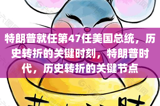 特朗普就任第47任美国总统，历史转折的关键时刻，特朗普时代，历史转折的关键节点