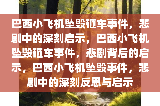 巴西小飞机坠毁砸车事件，悲剧中的深刻启示，巴西小飞机坠毁砸车事件，悲剧背后的启示，巴西小飞机坠毁事件，悲剧中的深刻反思与启示