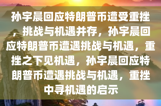 孙宇晨回应特朗普币遭受重挫，挑战与机遇并存，孙宇晨回应特朗普币遭遇挑战与机遇，重挫之下见机遇，孙宇晨回应特朗普币遭遇挑战与机遇，重挫中寻机遇的启示
