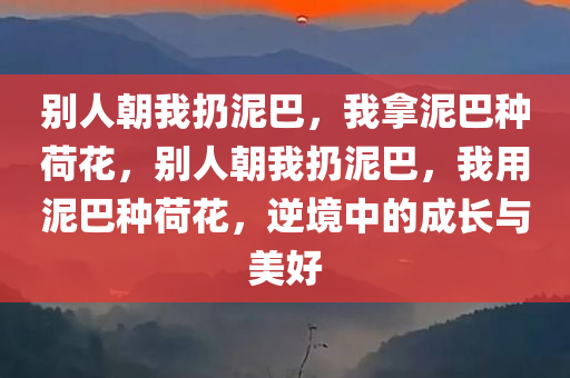 别人朝我扔泥巴，我拿泥巴种荷花，别人朝我扔泥巴，我用泥巴种荷花，逆境中的成长与美好