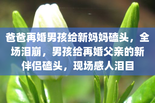 爸爸再婚男孩给新妈妈磕头，全场泪崩，男孩给再婚父亲的新伴侣磕头，现场感人泪目