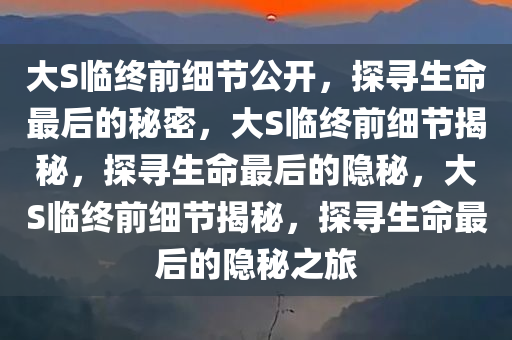 大S临终前细节公开，探寻生命最后的秘密，大S临终前细节揭秘，探寻生命最后的隐秘，大S临终前细节揭秘，探寻生命最后的隐秘之旅