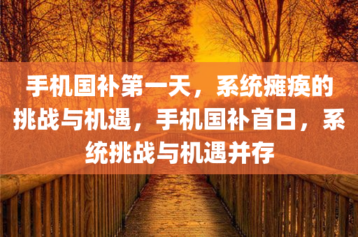手机国补第一天，系统瘫痪的挑战与机遇，手机国补首日，系统挑战与机遇并存