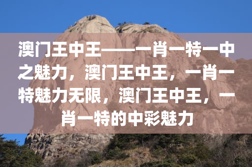 澳门王中王——一肖一特一中之魅力，澳门王中王，一肖一特魅力无限，澳门王中王，一肖一特的中彩魅力