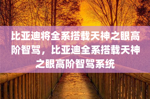 比亚迪将全系搭载天神之眼高阶智驾，比亚迪全系搭载天神之眼高阶智驾系统