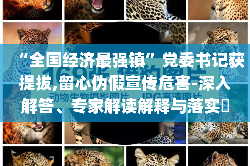 宣教区教么生,结构解答解释落实_CXZS版?GH9