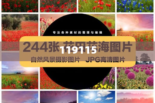 都怪撒贝宁嘴太快了，撒贝宁快嘴揭秘，背后的故事，撒贝宁快嘴揭秘，背后的故事曝光