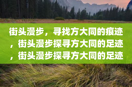 街头漫步，寻找方大同的痕迹，街头漫步探寻方大同的足迹，街头漫步探寻方大同的足迹今晚必出三肖2025_2025新澳门精准免费提供·精确判断