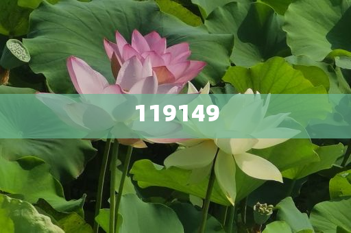 2025年3月15日 第74页