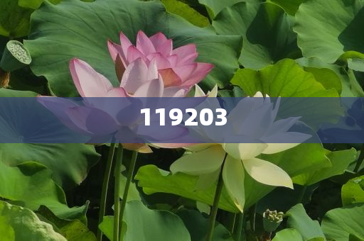 春运新篇章，16架国产C919大飞机亮相，展现航空强国风采，春运新篇章，国产C919大飞机亮相展现航空强国风采，春运新篇章，国产C919大飞机亮相，彰显航空强国风采今晚必出三肖2025_2025新澳门精准免费提供·精确判断
