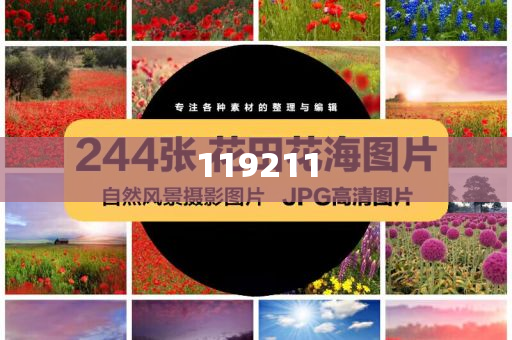 馕警官翻译馕言文，跨越文化与时代的对话，馕警官翻译馕言文，跨越文化与时代的对话之旅，馕警官翻译馕言文，跨越文化与时代的对话之旅今晚必出三肖2025_2025新澳门精准免费提供·精确判断