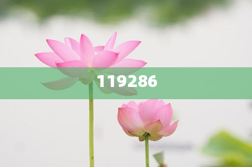 元宵节畅想放假时光，元宵节，畅想假期美好时光，元宵节假期畅想美好时光今晚必出三肖2025_2025新澳门精准免费提供·精确判断