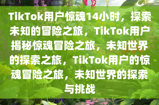 TikTok用户惊魂14小时，探索未知的冒险之旅，TikTok用户揭秘惊魂冒险之旅，未知世界的探索之旅，TikTok用户的惊魂冒险之旅，未知世界的探索与挑战今晚必出三肖2025_2025新澳门精准免费提供·精确判断