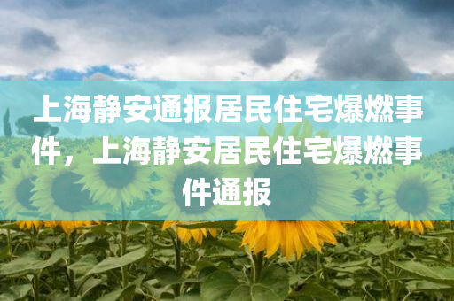 2025年3月15日 第53页