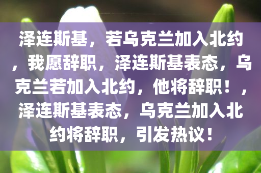 泽连斯基，若乌克兰加入北约，我愿辞职，泽连斯基表态，乌克兰若加入北约，他将辞职！，泽连斯基表态，乌克兰加入北约将辞职，引发热议！