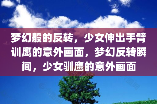 梦今晚必出三肖2025_2025新澳门精准免费提供·精确判断幻般的反转，少女伸出手臂训鹰的意外画面，梦幻反转瞬间，少女驯鹰的意外画面