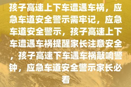 孩子高速上下车遭遇车祸，应急车道安全警示需牢记，应急车道安全警示，孩子高速上下车遭遇车祸提醒家长注意安全，孩子高速下车遇车祸敲响警钟，应急车道安全警示家长必看今晚必出三肖2025_2025新澳门精准免费提供·精确判断