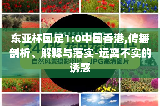 chenxinyao 第106页