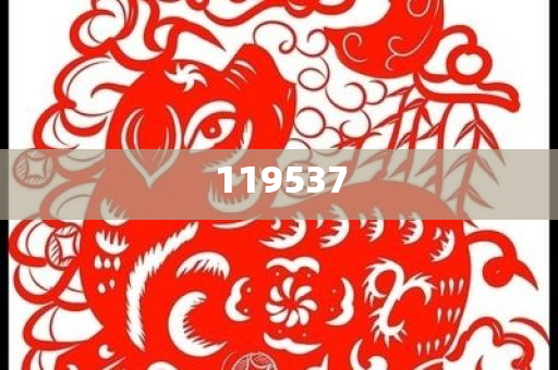 如何理解新澳2025年正版资料，新澳2025年正版资料解读，新澳2025年正版资料的解读与理解