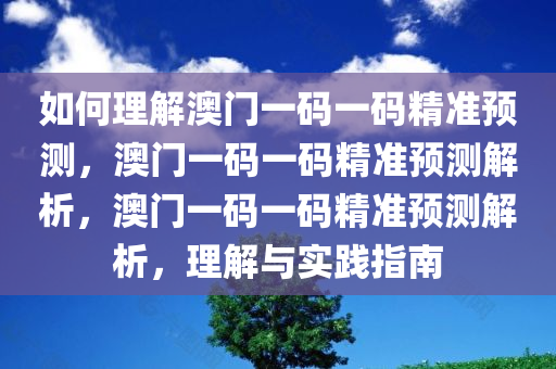 如何理解澳门一码一码精准预测，澳门一码一码精准预测解析，澳门一码一码精准预测解析，理解与实践指南今晚必出三肖2025_2025新澳门精准免费提供·精确判断