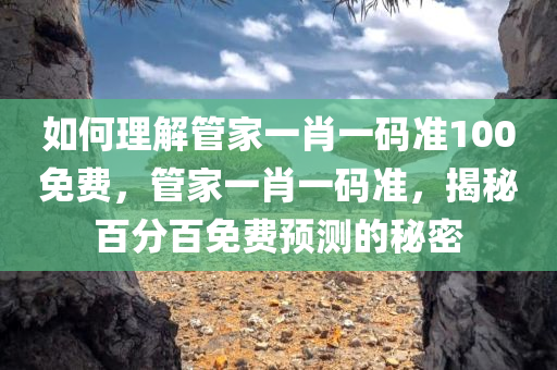 如何理解管家一肖一码准100免费，管家一肖一码准，揭秘百分百免费预测的秘密