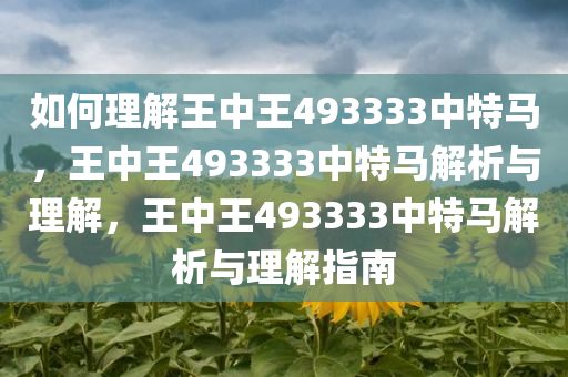 如何理解王中王493333中特马，王中王493333中特马解析与理解，王中王493333中特马解析与理解指南