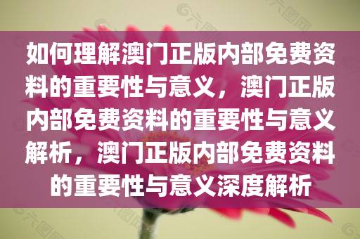 如何理解澳门正版内部免费资料的重要性与意义，澳门正版内部免费资料的重要性与意义解析，澳门正版内部免费资料的重要性与意义深度解析