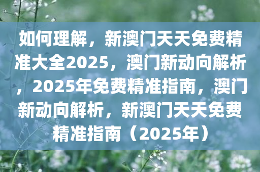 如何理解，新澳门天天免费精准大全2025，澳门新动向解析，2025年免费精准指南，澳门新动向解析，新澳门天天免费精准指南（2025年）