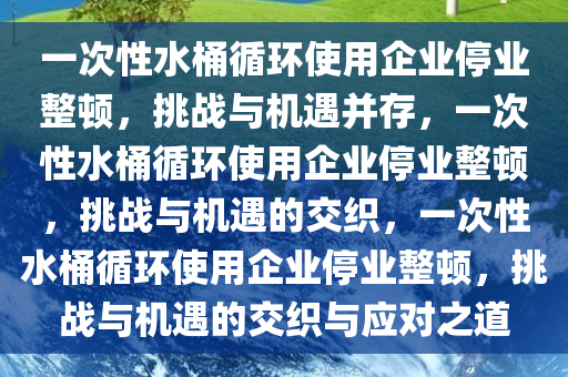 一次性水桶循环使用企业停业整顿，挑战与机遇并存，一次性水桶循环使用企业停业整顿，挑战与机遇的交织，一次性水桶循环使用企业停业整顿，挑战与机遇的交织与应对之道