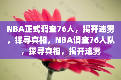 NBA正式调查76人，揭开迷雾，探寻真相，NBA调查76人队，探寻真相，揭开迷雾