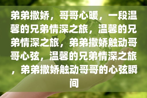 弟弟撒娇，哥哥心暖，一段温馨的兄弟情深之旅，温馨的兄弟情深之旅，弟弟撒娇触动哥哥心弦，温馨的兄弟情深之旅，弟弟撒娇触动哥哥的心弦瞬间