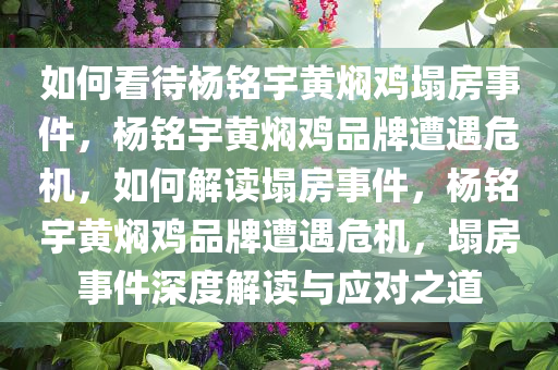 如何看待杨铭宇黄焖鸡塌房事件，杨铭宇黄焖鸡品牌遭遇危机，如何解读塌房事件，杨铭宇黄焖鸡品牌遭遇危机，塌房事件深度解读与应对之道
