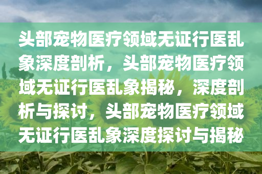头部宠物医疗领域无证行医乱象深度剖析，头部宠物医疗领域无证行医乱象揭秘，深度剖析与探讨，头部宠物医疗领域无证行医乱象深度探讨与揭秘