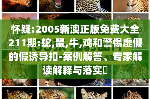 红师节假家具,精英版挑战版复刻版_精英版4545