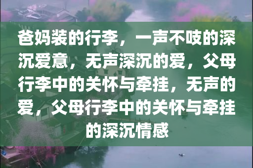 爸妈装的行李，一声不吱的深沉爱意，无声深沉的爱，父母行李中的关怀与牵挂，无声的爱，父母行李中的关怀与牵挂的深沉情感