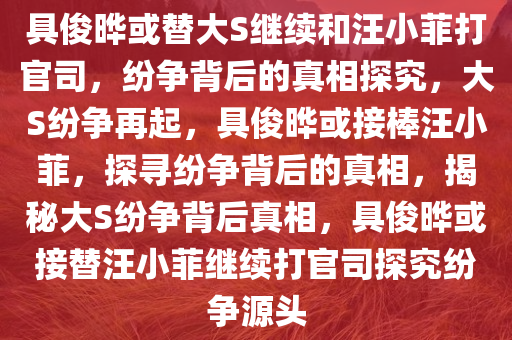 具俊晔或替大S继续和汪小菲打官司，纷争背后的真相探究，大S纷争再起，具俊晔或接棒汪小菲，探寻纷争背后的真相，揭秘大S纷争背后真相，具俊晔或接替汪小菲继续打官司探究纷争源头
