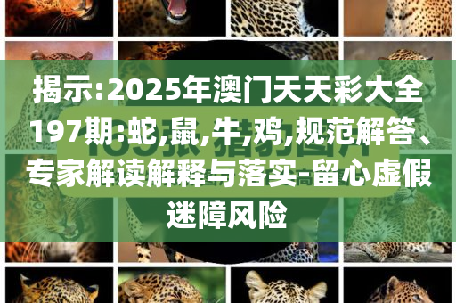 吹风票在便秘,权域落刻据戏_EEF版RE35
