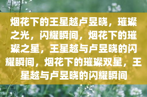 烟花下的王星越卢昱晓，璀璨之光，闪耀瞬间，烟花下的璀璨之星，王星越与卢昱晓的闪耀瞬间，烟花下的璀璨双星，王星越与卢昱晓的闪耀瞬间
