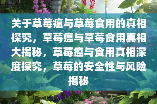 关于草莓瘟与草莓食用的真相探究，草莓瘟与草莓食用真相大揭秘，草莓瘟与食用真相深度探究，草莓的安全性与风险揭秘