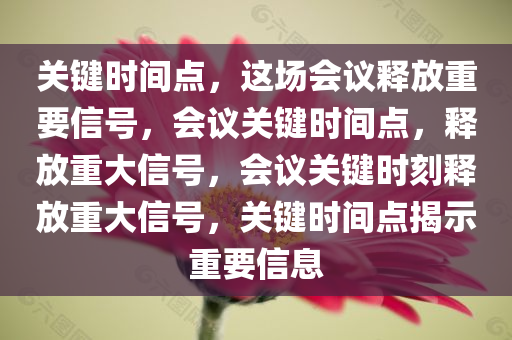 2025年3月17日 第48页