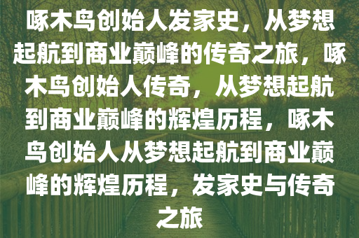 啄木鸟创始人发家史，从梦想起航到商业巅峰的传奇之旅，啄木鸟创始人传奇，从梦想起航到商业巅峰的辉煌历程，啄木鸟创始人从梦想起航到商业巅峰的辉煌历程，发家史与传奇之旅今晚必出三肖2025_2025新澳门精准免费提供·精确判断