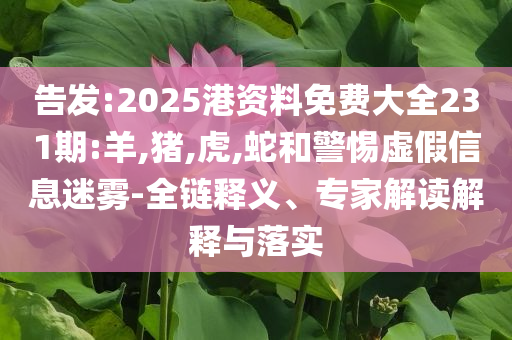 版丰驾驶一年,分析深度最新_DG版?JJ555