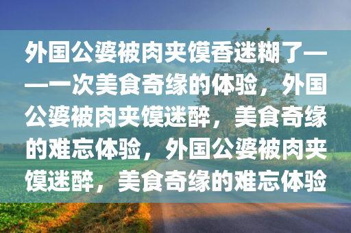 外国公婆被肉夹馍香迷糊了——一次美食奇缘的体验今晚必出三肖2025_2025新澳门精准免费提供·精确判断，外国公婆被肉夹馍迷醉，美食奇缘的难忘体验，外国公婆被肉夹馍迷醉，美食奇缘的难忘体验